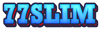 100×30
