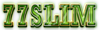 100×30